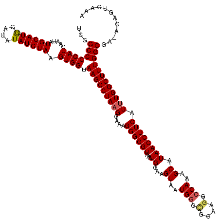 secondary structure