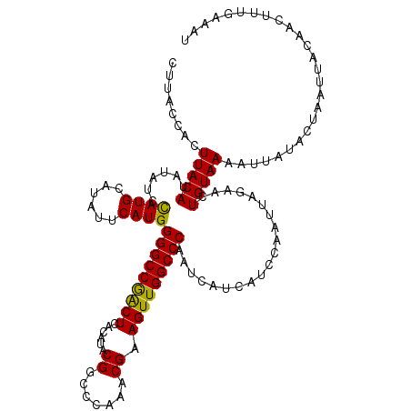 secondary structure
