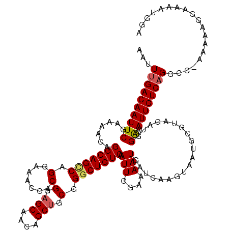 secondary structure