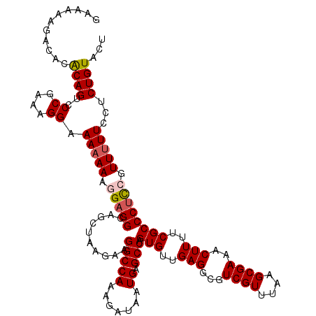 secondary structure