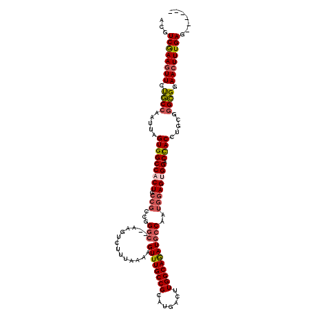 secondary structure