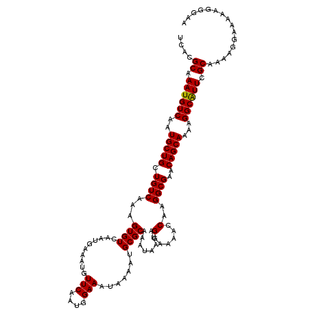 secondary structure