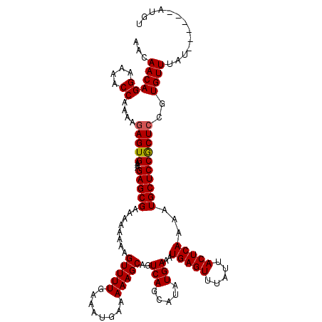 secondary structure