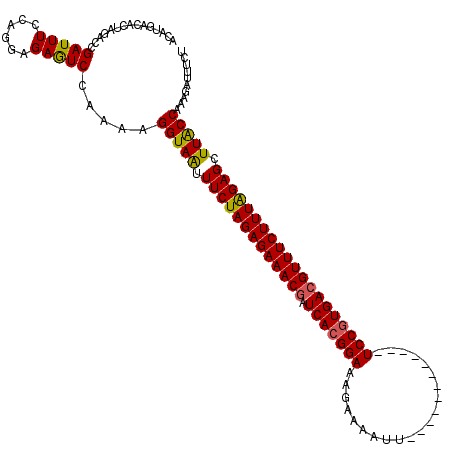 secondary structure