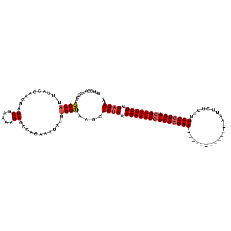 secondary structure