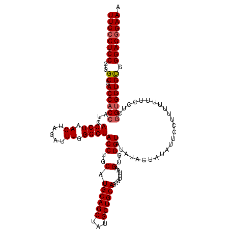 secondary structure