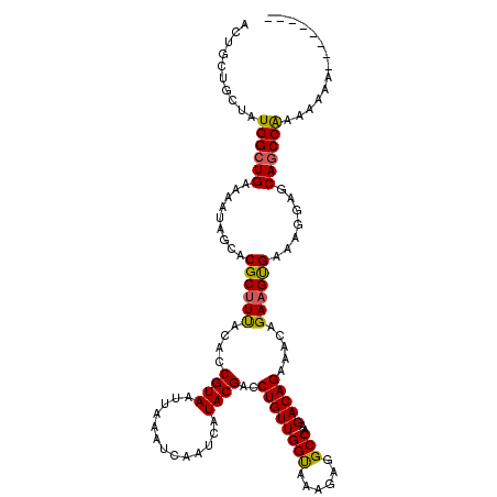 secondary structure