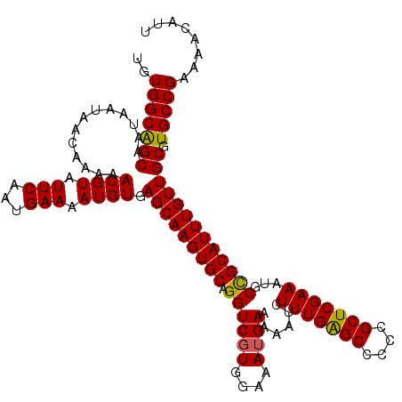 secondary structure