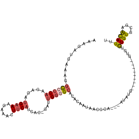 secondary structure