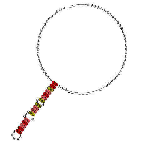 secondary structure