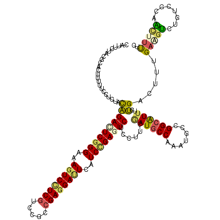 secondary structure