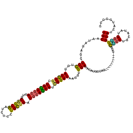 secondary structure