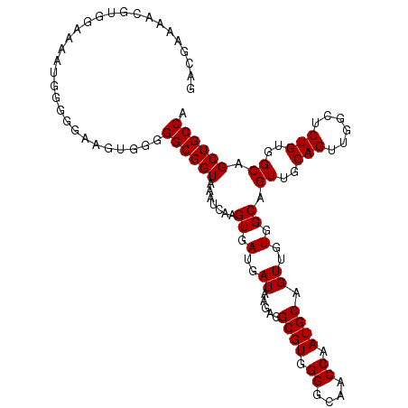 secondary structure