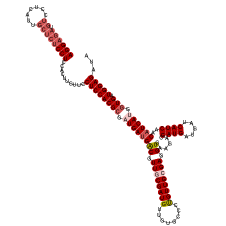 secondary structure