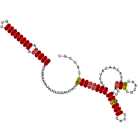 secondary structure