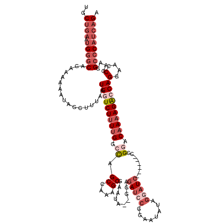 secondary structure