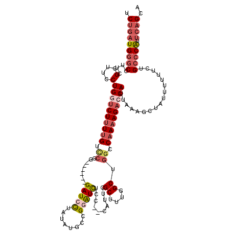 secondary structure