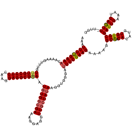 secondary structure
