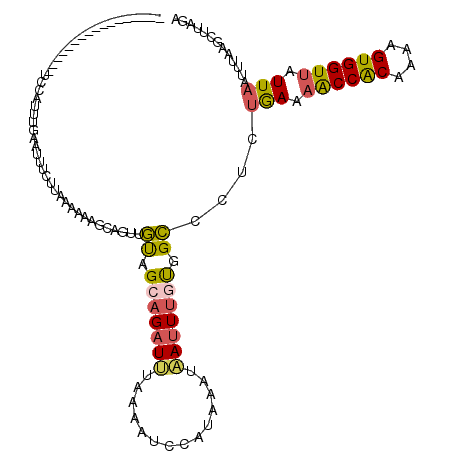 secondary structure