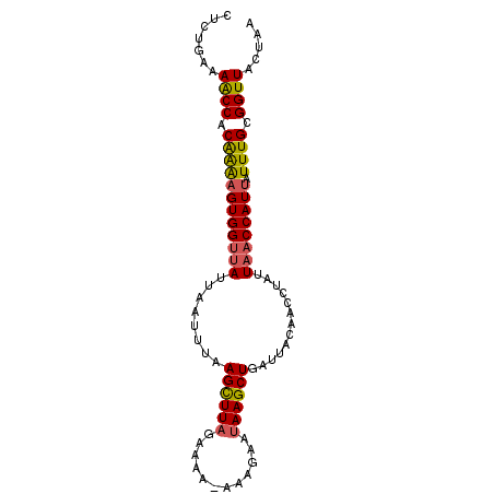 secondary structure