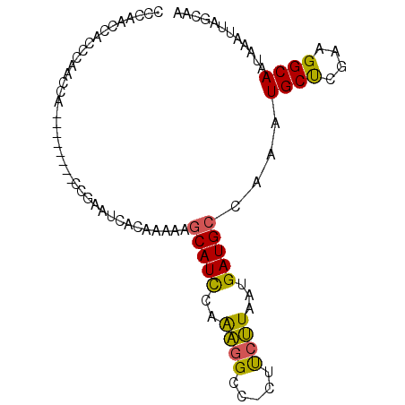 secondary structure