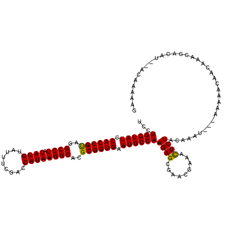 secondary structure