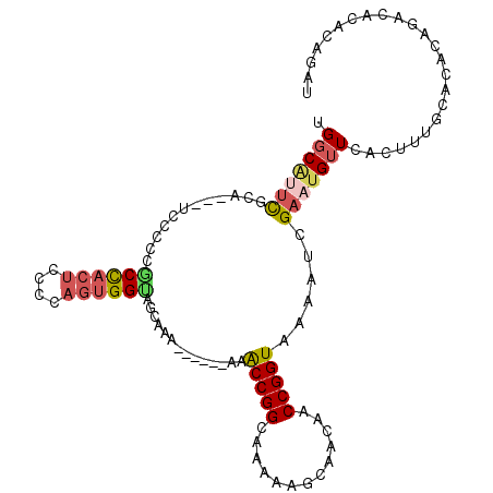 secondary structure