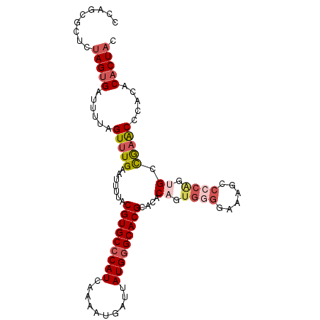 secondary structure