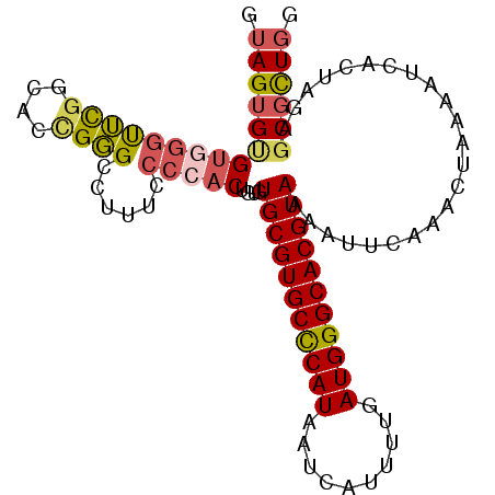 secondary structure