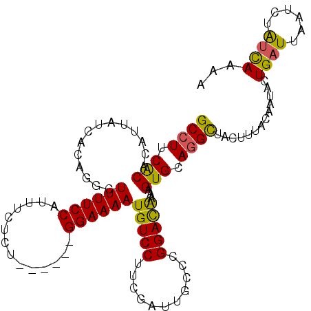secondary structure