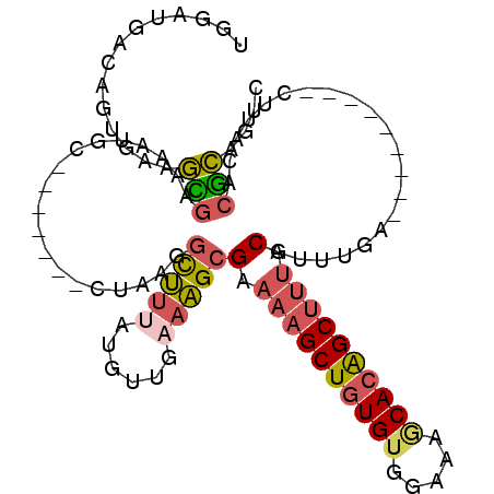 secondary structure