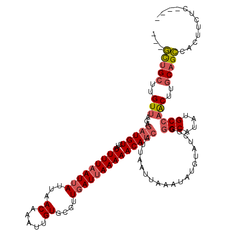 secondary structure