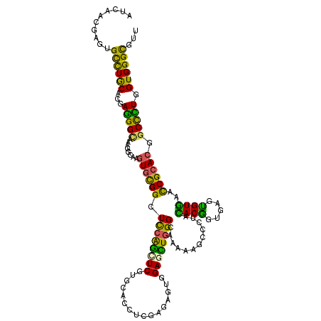 secondary structure