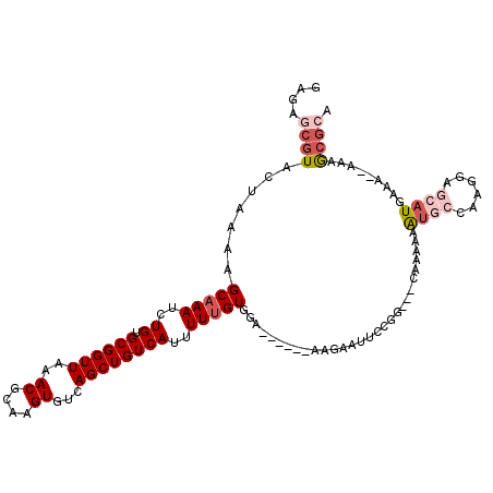 secondary structure