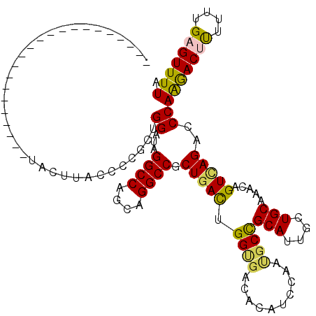 secondary structure