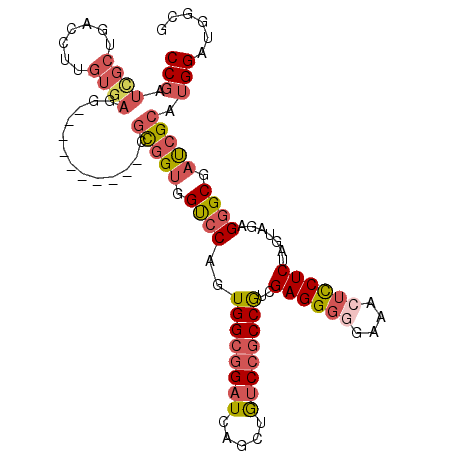 secondary structure