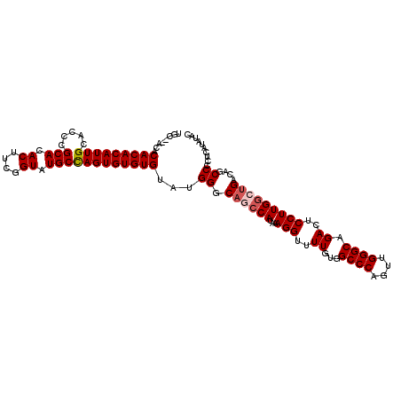secondary structure