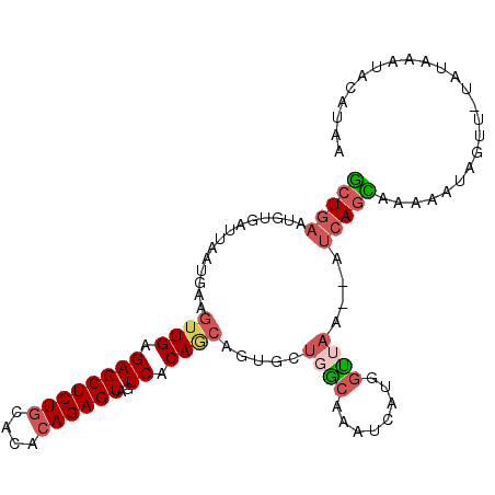 secondary structure