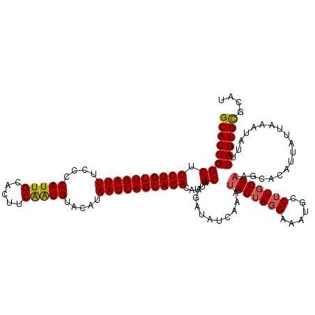 secondary structure