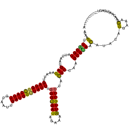 secondary structure