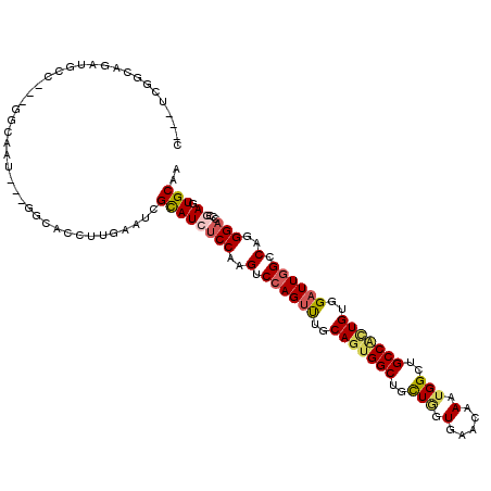 secondary structure