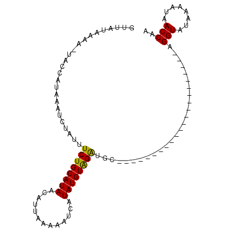 secondary structure