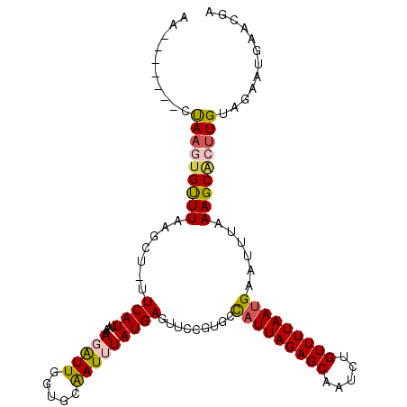 secondary structure