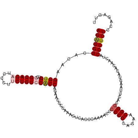 secondary structure