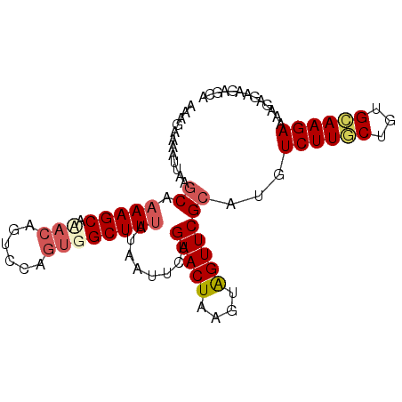 secondary structure