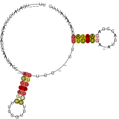 secondary structure