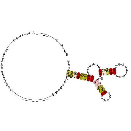 secondary structure