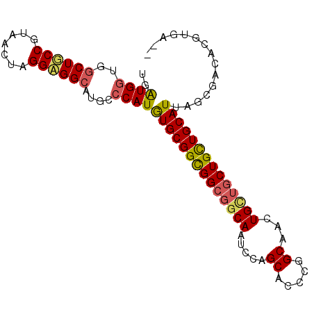 secondary structure