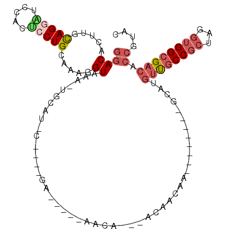secondary structure