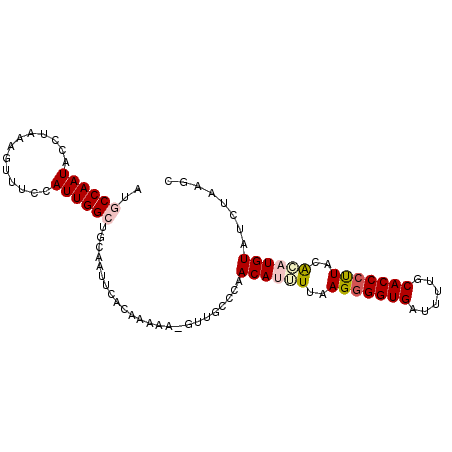 secondary structure